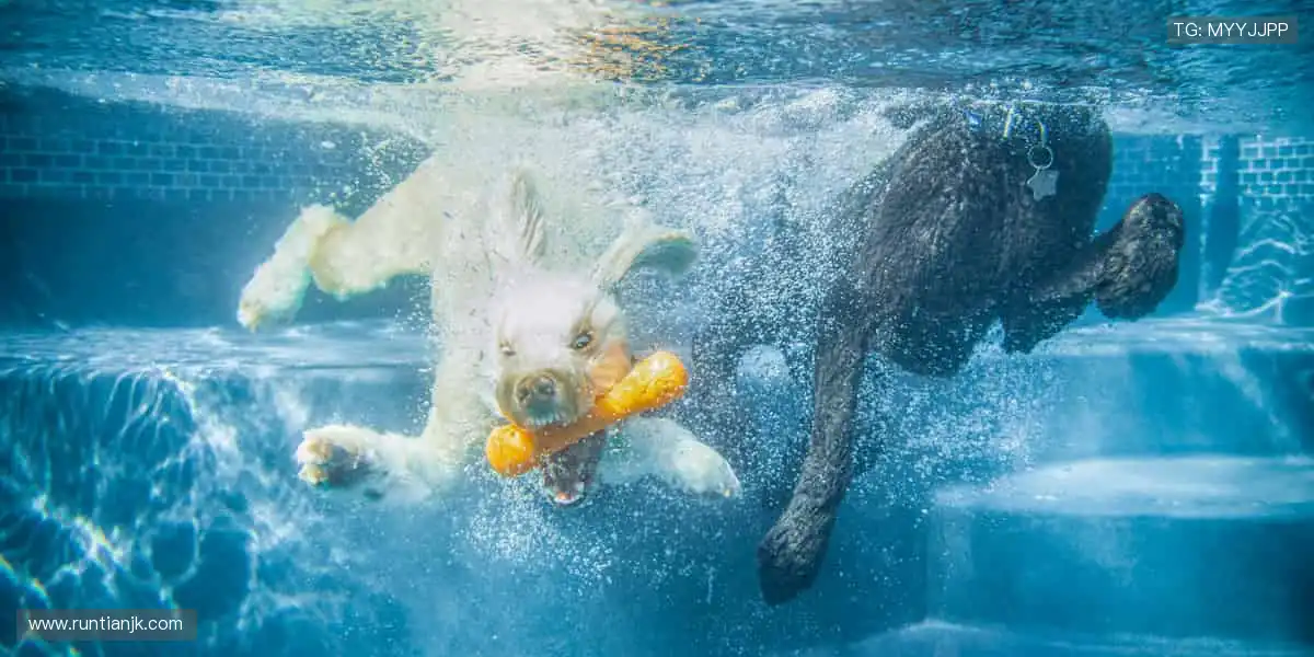 💻实时互动，弹幕与呐喊同频共振！📸